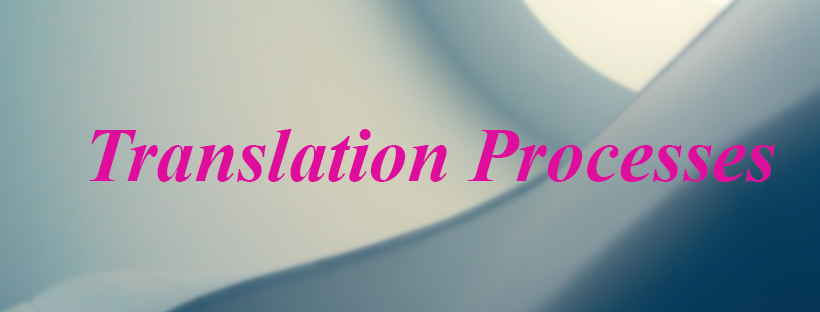 Translation Processes